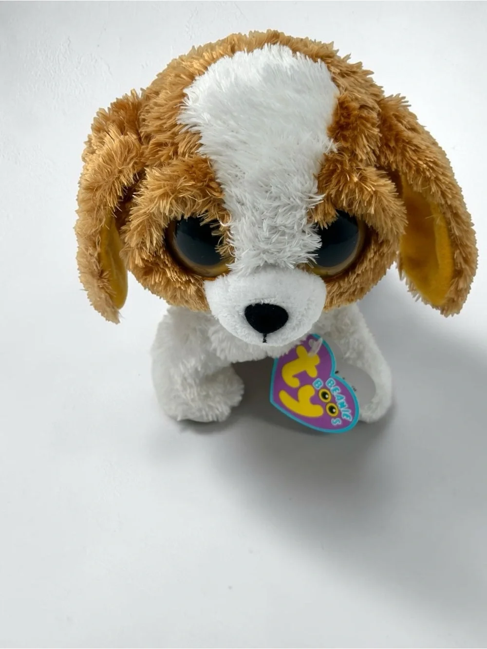 Ty Beanie Boos COOKIE Dog 6